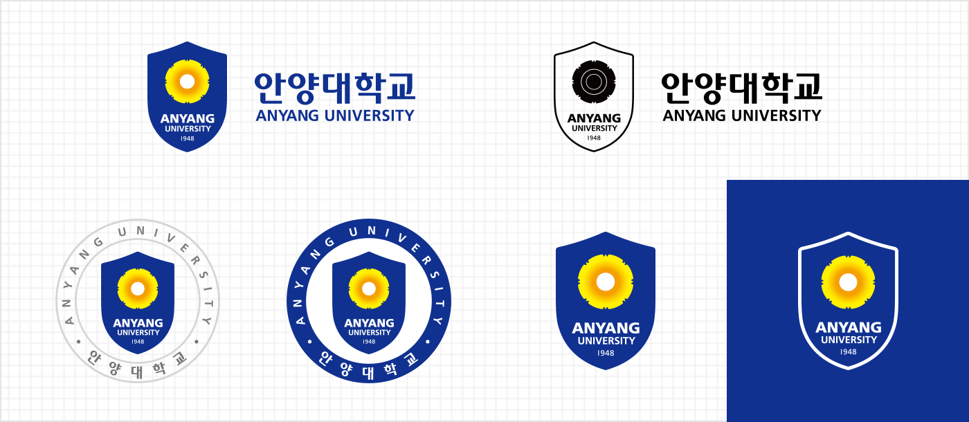 Anyang University